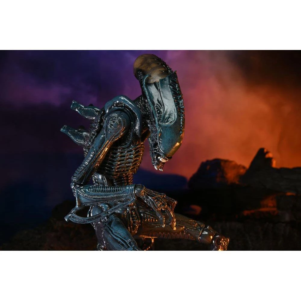 Toys & Figures Alien Vs. Predator Arachnoid Alien Action Figure 9 Toys & Figures Alien Vs. Predator Arachnoid Alien Action Figure