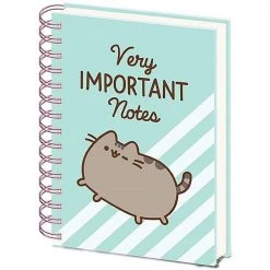 Home & Gifts PUSHEEN (VERY IMPORTANT NOTES)