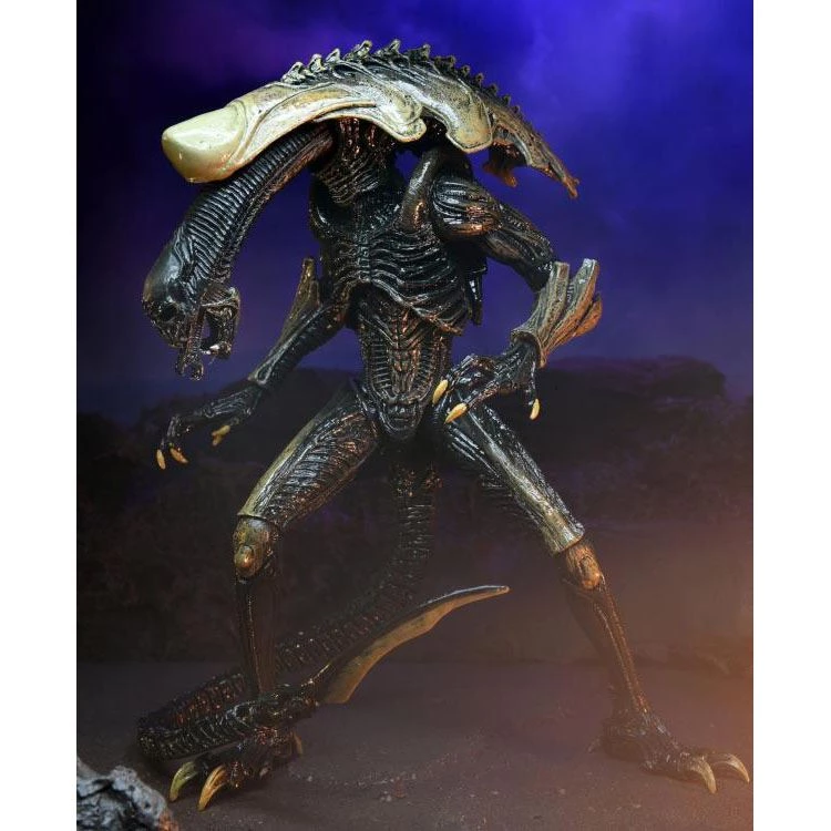 Alien Vs. Predator Chrysalis (Movie Deco) Action Figure Toys & Figures 6 Alien Vs. Predator Chrysalis (Movie Deco) Action Figure Toys & Figures