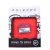 Friends Enamel Pin Badge PALADONE Film & TV 1 Friends Enamel Pin Badge PALADONE Film & TV
