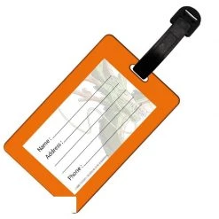 Dragon Ball Tag 8 Dragon Ball Tag