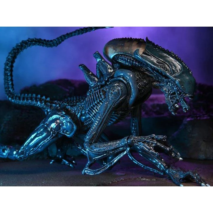 Toys & Figures Alien Vs. Predator Arachnoid Alien Action Figure 4 Toys & Figures Alien Vs. Predator Arachnoid Alien Action Figure