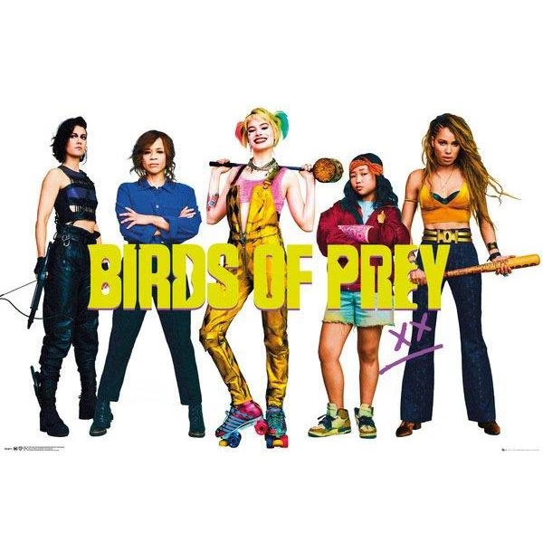 Birds Of Prey Group Maxi Poster 33 3 Birds Of Prey Group Maxi Poster 33
