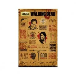 The Walking Dead Infographic Maxi Poster Film & TV