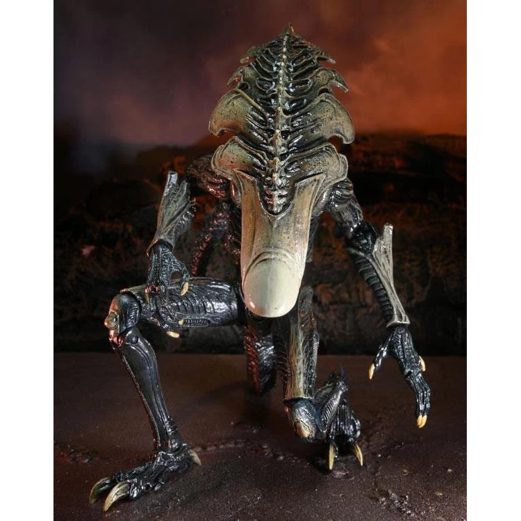 Alien Vs. Predator Chrysalis (Movie Deco) Action Figure Toys & Figures 7 Alien Vs. Predator Chrysalis (Movie Deco) Action Figure Toys & Figures
