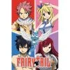 Fairy Tail Quad Maxi Poster 1 Fairy Tail Quad Maxi Poster