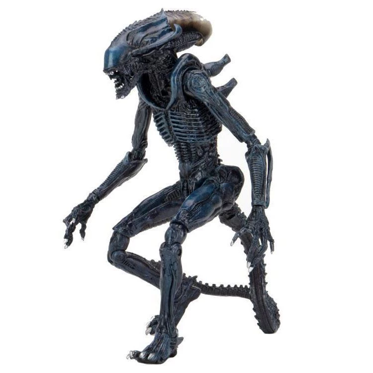 Toys & Figures Alien Vs. Predator Arachnoid Alien Action Figure 7 Toys & Figures Alien Vs. Predator Arachnoid Alien Action Figure