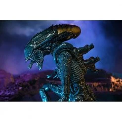 Toys & Figures Alien Vs. Predator Arachnoid Alien Action Figure 12 Toys & Figures Alien Vs. Predator Arachnoid Alien Action Figure