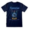 Harry Potter Ravenclaw Quidditch T-Shirt Film & TV