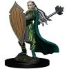 Tabletop Dungeons & Dragons - Elf Paladin Female Miniature 1 Tabletop Dungeons & Dragons - Elf Paladin Female Miniature