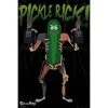 Film & TV Rick And Morty Pickle Rick 15