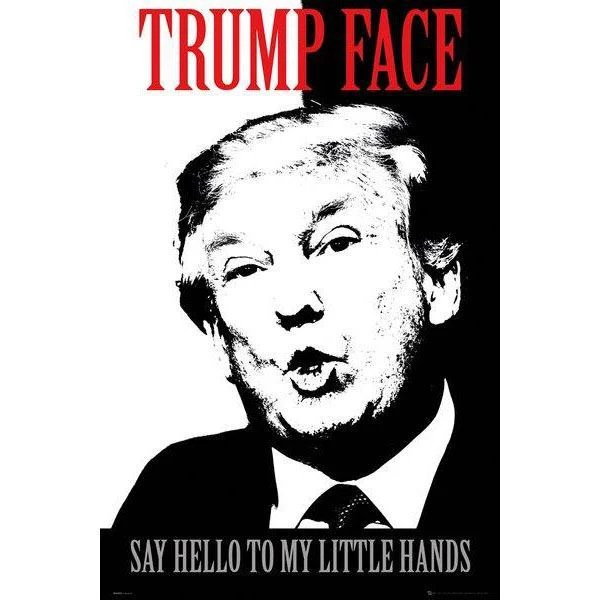 Home & Gifts Trump Face Poster 4 Home & Gifts Trump Face Poster