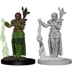 Dungeons & Dragons: Icons Of The Realms - Human Female Druid Miniature Tabletop 8 Dungeons & Dragons: Icons Of The Realms - Human Female Druid Miniature Tabletop