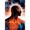 Spider-Man Protector Of The City Maxi Poster Film & TV 2 Spider-Man Protector Of The City Maxi Poster Film & TV