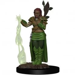 Dungeons & Dragons: Icons Of The Realms - Human Female Druid Miniature Tabletop