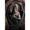 Anne Stokes - Angel Rose Maxi Poster 11 Home & Gifts