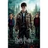 Harry Potter 7 Part 2 One Sheet Maxi Poster Film & TV